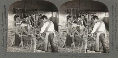 Splitting Bamboo