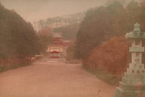 Avenue Leading to Hachiman Temple, Kamakura