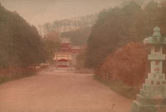 Avenue Leading to Hachiman Temple, Kamakura