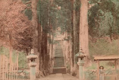 Stone Steps leading to Temple in Tokyo