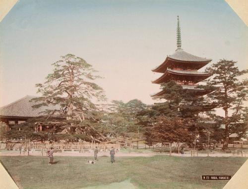 N73: Nara, Yamato