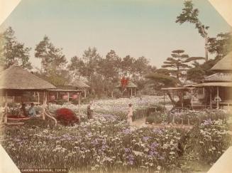 Iris Garden in Horikiri, Tokyo