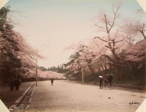 V9: View of Ueno