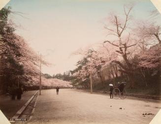 V9: View of Ueno