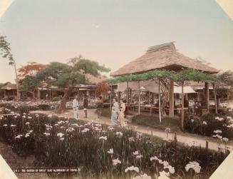 N1: The Garden of Sweat Flag in Horikiri at Tokyo