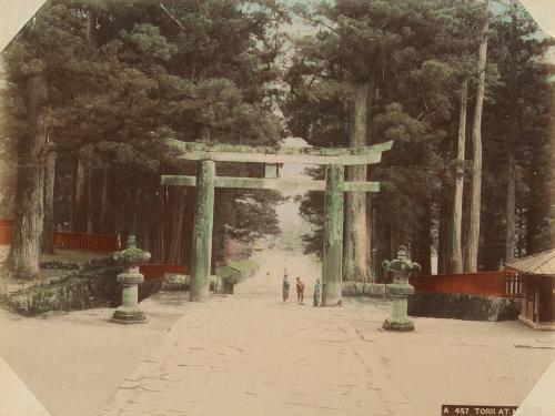 A457: Torii at Nikko