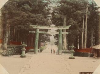 A457: Torii at Nikko