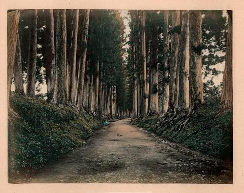 View of Imaichi, at Nikko Road