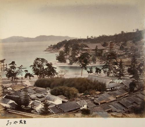 Miyajima 520