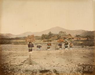 309 Female Farmers