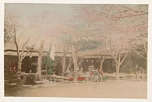 [Woman at a tea house]