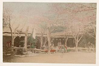 Woman at a tea house