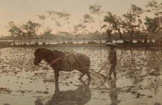 Farmer using horse