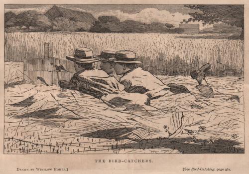 The Bird Catchers