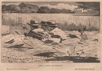 The Bird Catchers