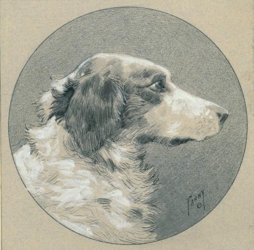[Portrait of a Dog]
