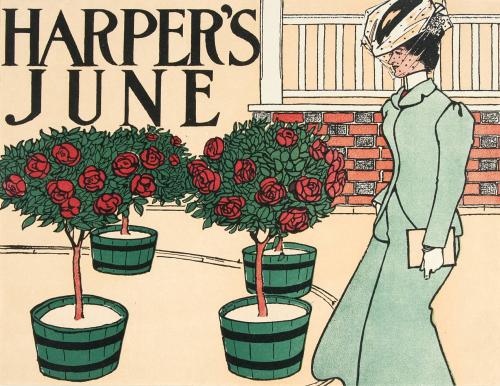[Woman with four potted rose bushes]