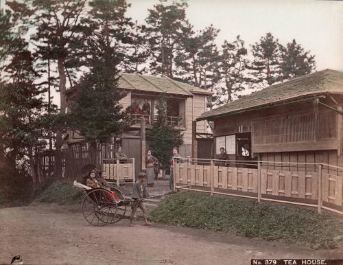 Tea House Restaurant, Koto