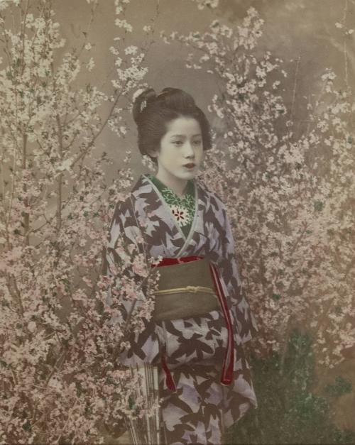 Geisha