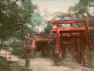 Entry to Inari Shinto Temple at Kyoto