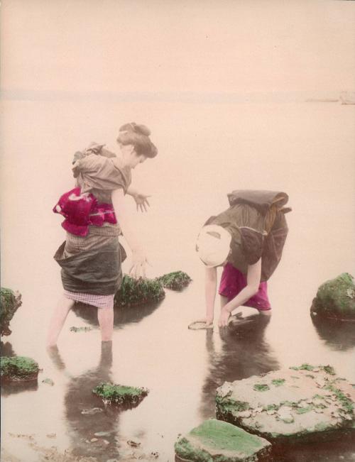 Gathering Shellfish at Low Tide