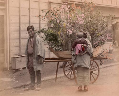 Flower Vendor