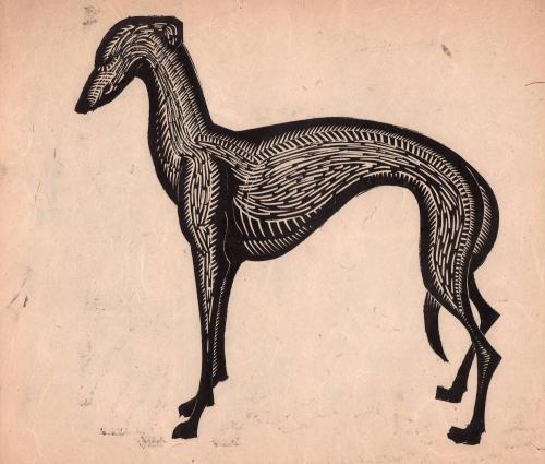 Dog (Whippet?)