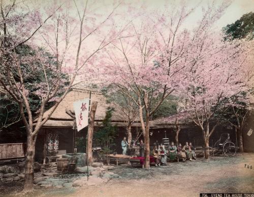 706 Uyeno Tea House Tokio