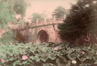 Spectacular Bridge and Lotus Pond