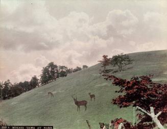 Mikasa Yama at Nara