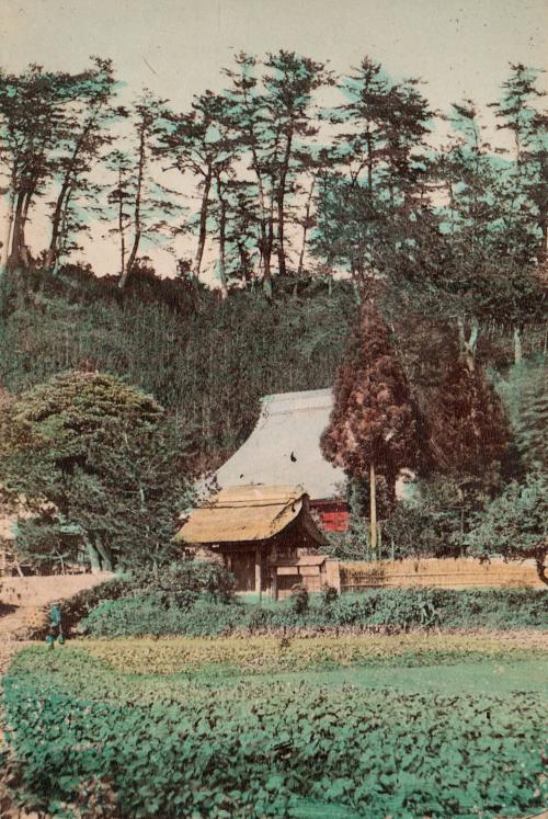 House with Formal Gate