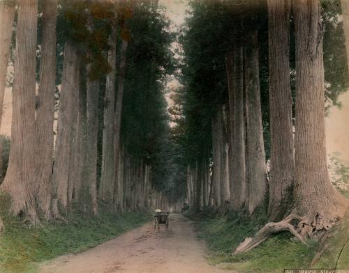 Imaichi, Nikko Road