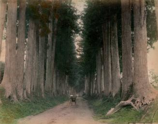 Imaichi, Nikko Road