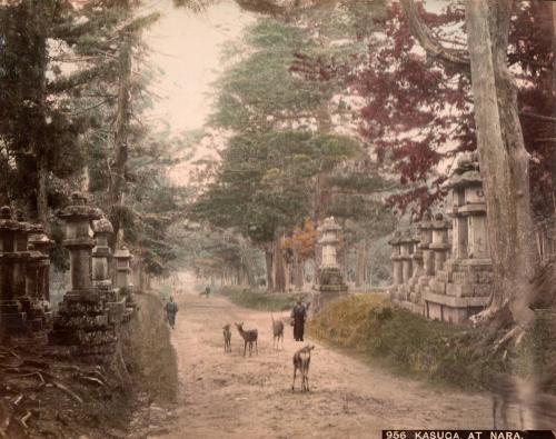 Kasuga at Nara