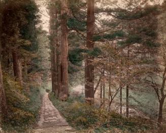 Nikko