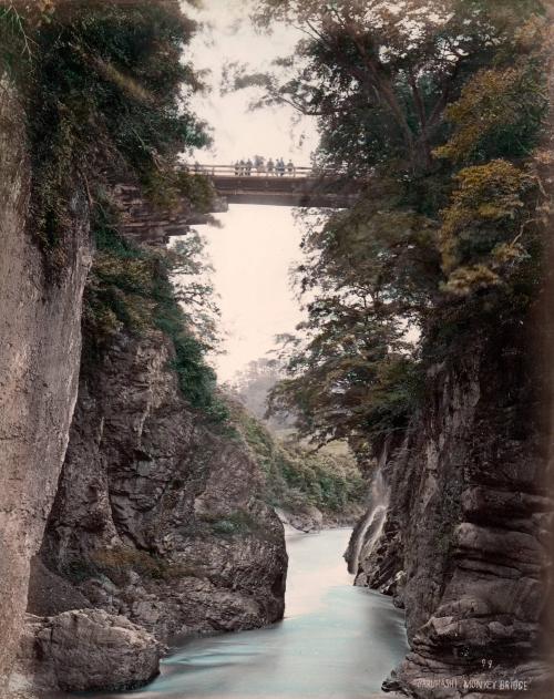 Saruhashi Monkey Bridge