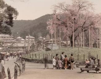 People in a Park