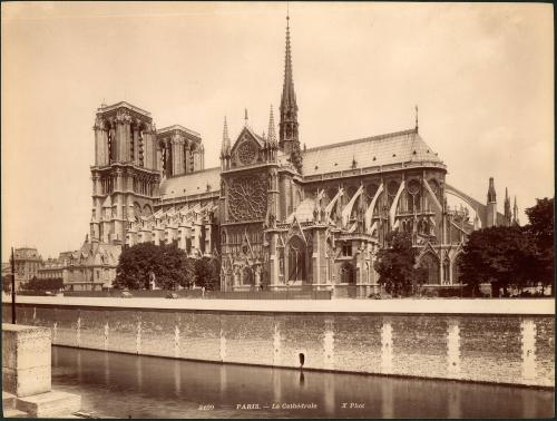 [Paris La Cathedrale [Notre Dame] X. Phot.]