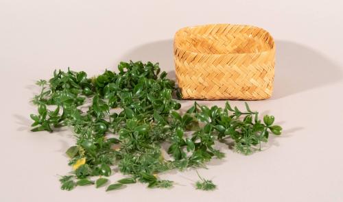 [Basket with leaves]