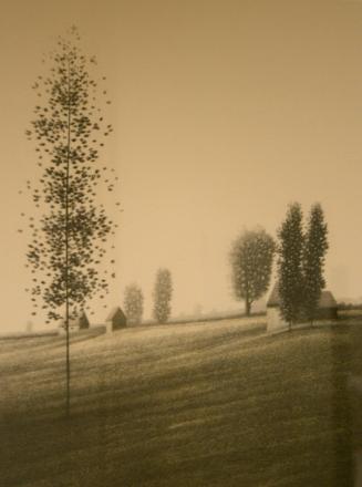 [Field with trees and buildings]