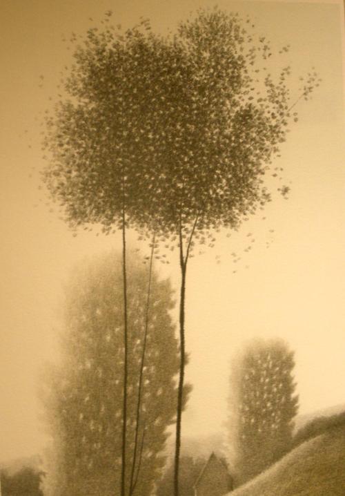 Trees with building in background