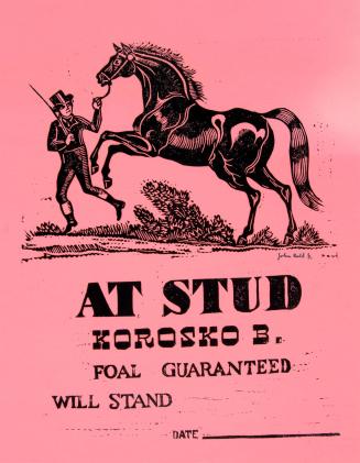 At Stud Korosko B. Foal Guaranteed Will Stand Date