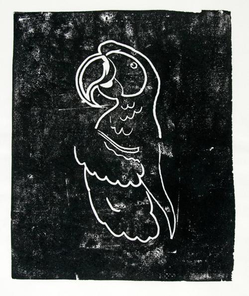 Untitled (Parrot)