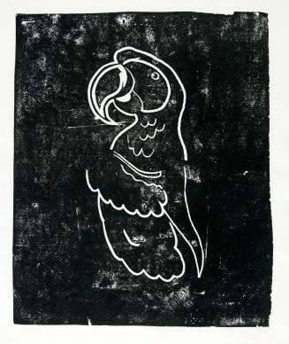 Untitled (Parrot)