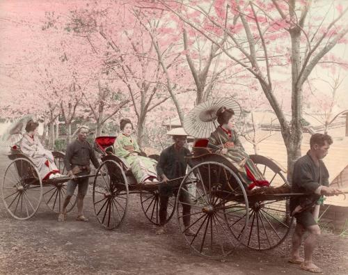 Three Girls in Jinrikisha