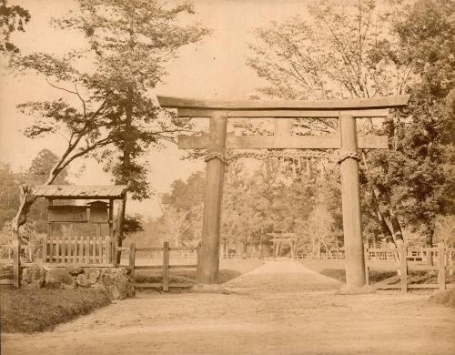 Torii