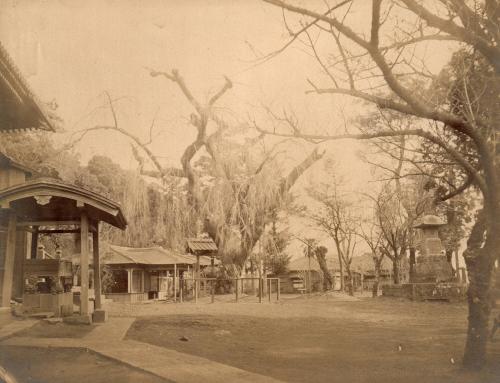 Town with Monument