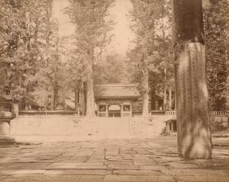 Temple and Cryptomeria Tree with Worshipper