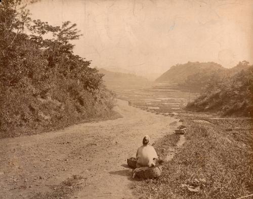 Tokaido Kambara, Fuji-Mi-Toge