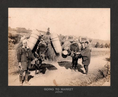 Going to Market - Japan